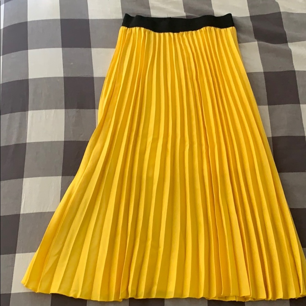 Chiffon Pleaded Skirt